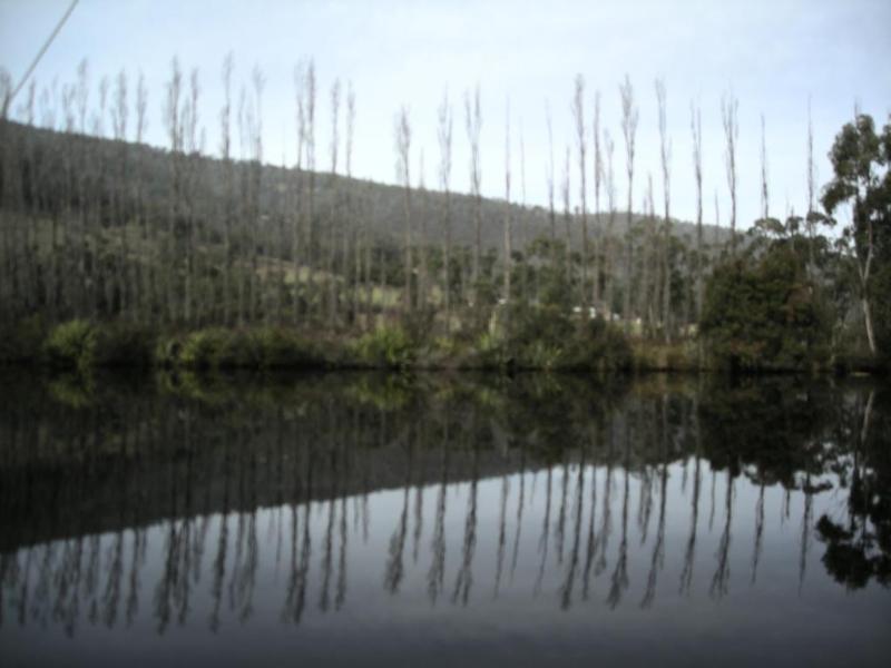 Port Huon Cottages מראה חיצוני תמונה